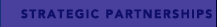 Strategic Partnerships